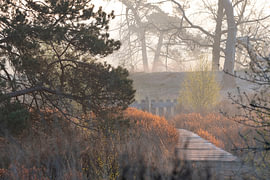 Durchblick Malpie von Sanne van Hoof
