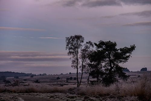 ochtend in Rozendaal