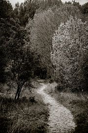 Broekpolder, Vlaardingen by Rick Keus