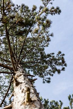 Il a l'air bien à l'étranger sur cette belle photo ! sur Lydia