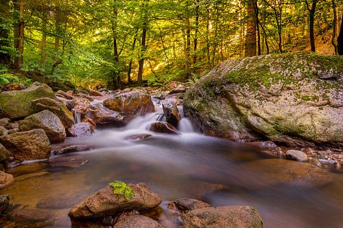 The Ilse in the Harz Mountains