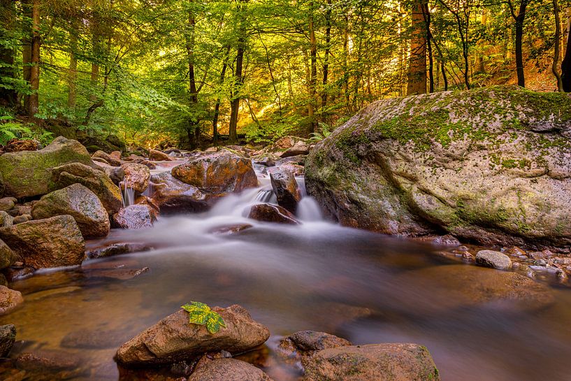 L'île dans les montagnes du Harz par Steffen Henze
