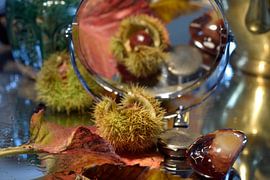 sweet chestnuts by Janny Schilderink......Atelier "de Tuute "