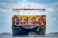 MSC Leanne