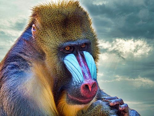 Silence before the storm