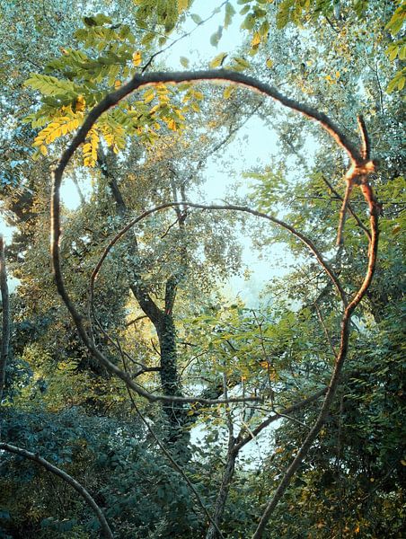 Circularity by Angelo Cerantola