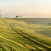 Paysage de polders le matin. sur Alie Ekkelenkamp
