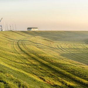 Paysage de polders le matin.