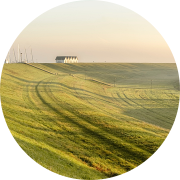 Polderlandschap in de ochtend. 1. Lelystad.