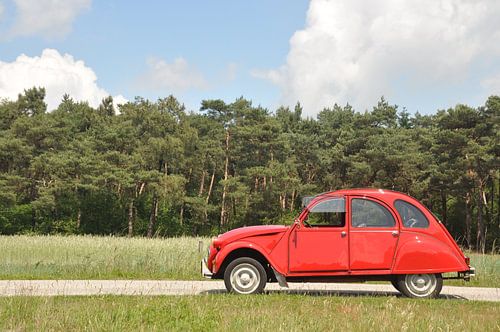 Citroën 2cv in de zon