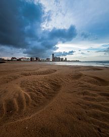 Blue Boulevard by PJM Captures