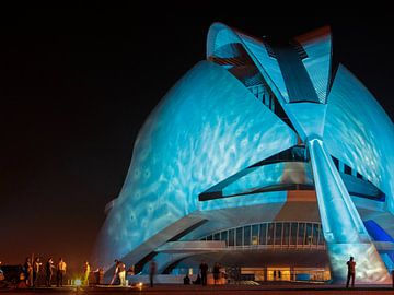 operahouse Valencia van Jan Gerrit Deelen