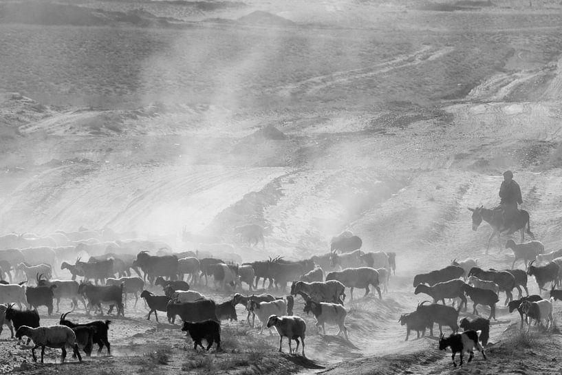 Kudde met herder van Johan Zwarthoed