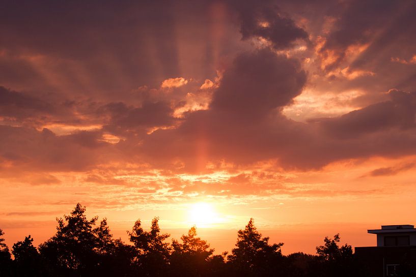 Gorgeous sunrise in the south of Holland by Louise Poortvliet