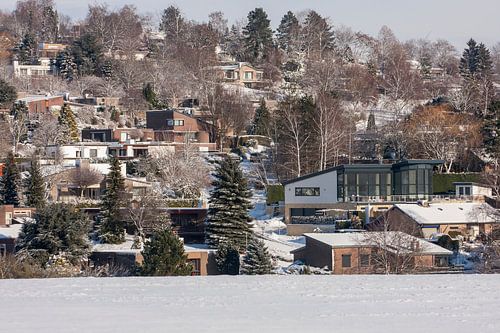 Het hulsveld in de sneeuw bij Simpelveld
