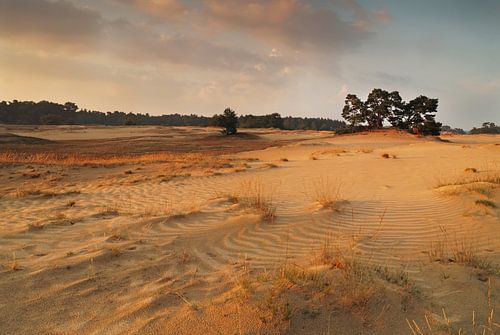 Kootwijkerzand