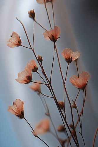 Die Ankunft des Frühlings