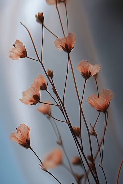 The arrival of Spring by Studio BB