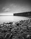 Conduction II by Frank Hoogeboom thumbnail