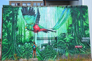 Street Art werk met Quetzal in Eindhoven Noord Brabant Nederland van My Footprints