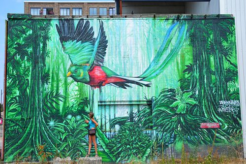 Street Art werk met Quetzal in Eindhoven Noord Brabant Nederland