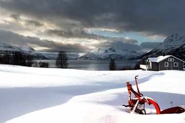 Winter von Hans Vellekoop