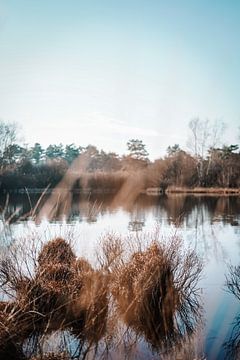 Nederlandse natuur van Sanne Elisa