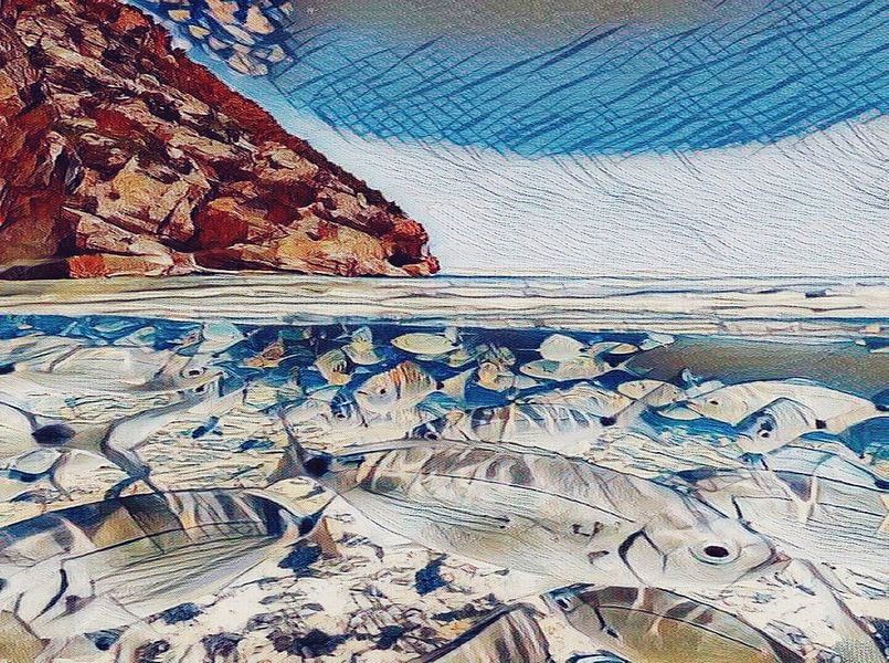 Poissons du lac de Garde par Conte Monfrey