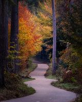 Piste cyclable