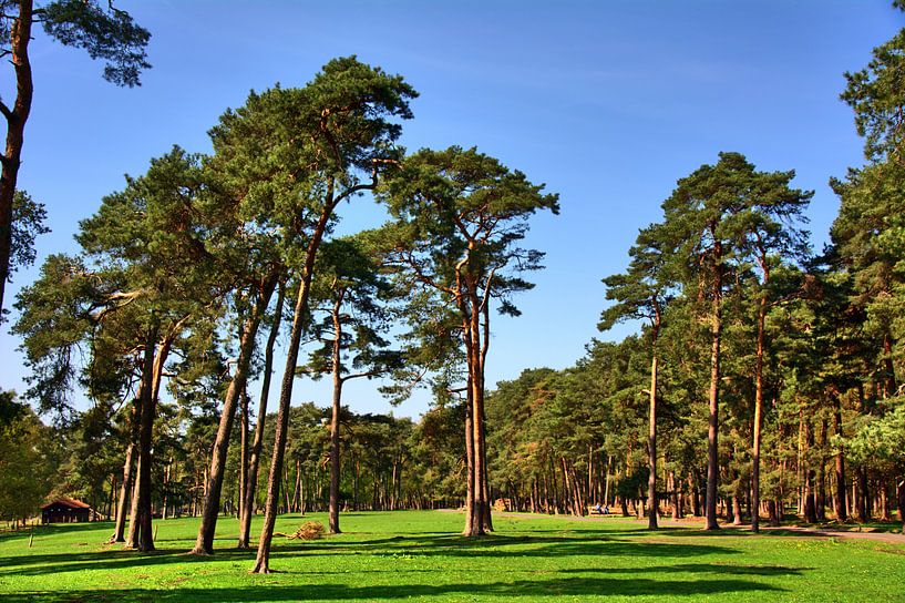 Merfeld 4 par Edgar Schermaul