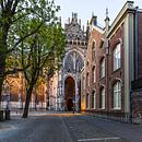St. John's Cathedral, 's-Hertogenbosch by Goos den Biesen thumbnail