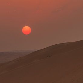 Sonnenuntergang in der Wüste von Anita Loos