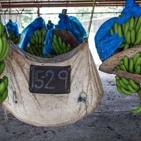 bananenplantage von Anna H Span