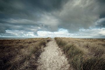 Dunes of Texel by Ruud van den Berg