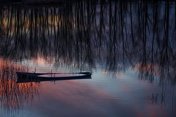Half gezonken bootje tijdens zonsondergang. van Ron van der Stappen