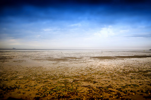 Waddenzee I