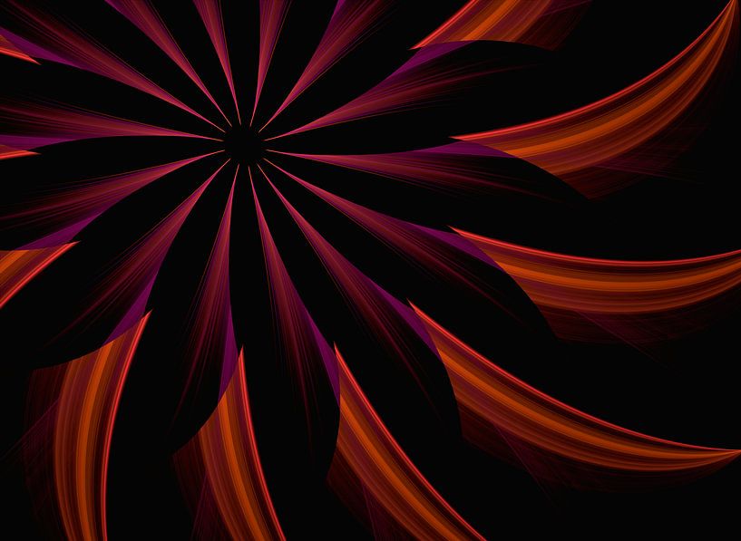 Fractal flower art by Roswitha Lorz