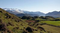 En route pour Roys Peak au lac Wanaka en Nouvelle-Zélande