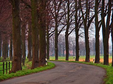 Landweg bocht van Edgar Schermaul