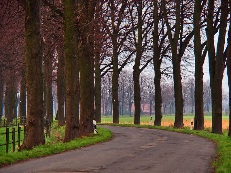 Courbe d'une route de campagne par Edgar Schermaul