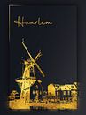 Haarlem von Printed Artings Miniaturansicht