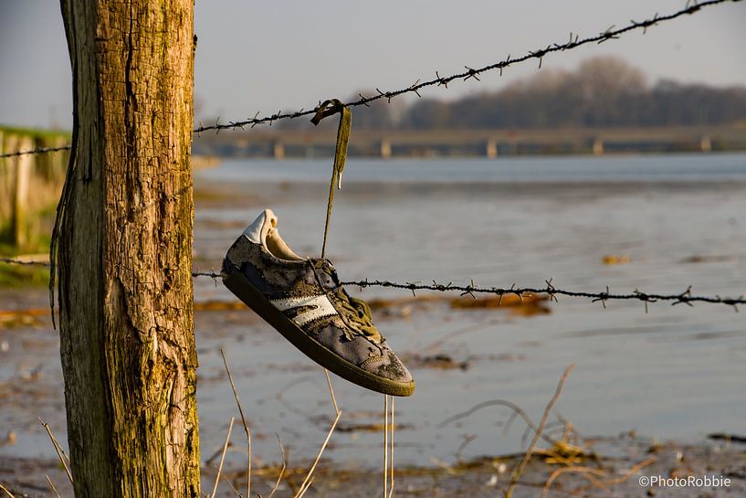 Lost and found by Robert Hoeve