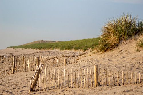 Strand met hekjes