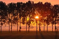 Small Town Sunrise