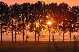 Lever du soleil sur Ellen Thomassen