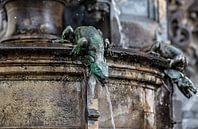 Salamander waterspuwer Cholerabrunnen van Stephan van Krimpen thumbnail