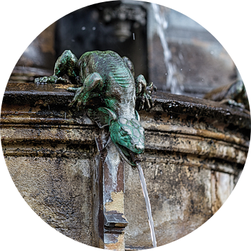 Salamander waterspuwer Cholerabrunnen van Stephan van Krimpen