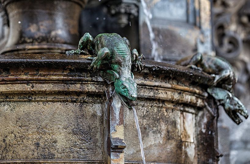 Salamander Wasserspeier Cholerabrunnen von Stephan van Krimpen