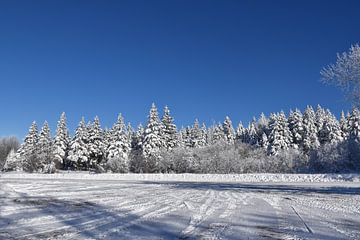 Een landweg in de winter van Claude Laprise