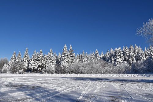 Een landweg in de winter